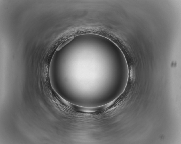 X0000091851492200709051135