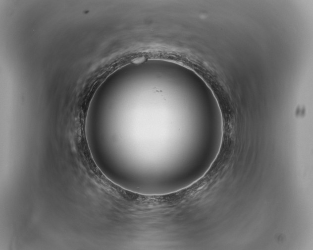 X0000091851493200709051135