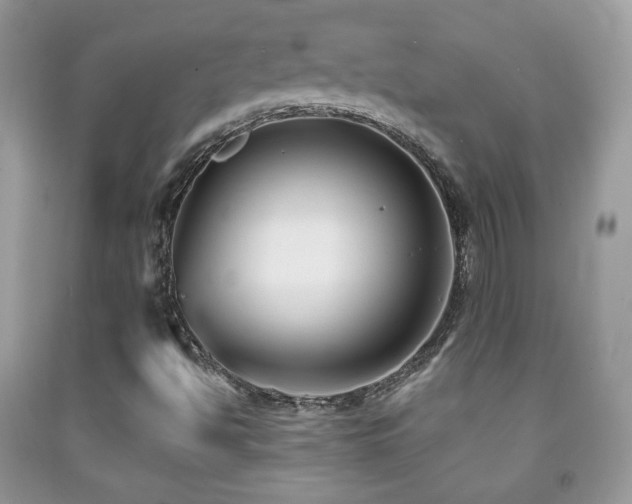 X0000091851494200709051135