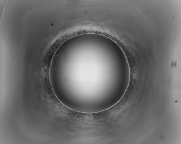 X0000091851495200709051135