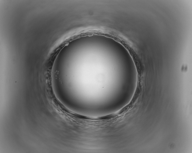 X0000091851496200709051135