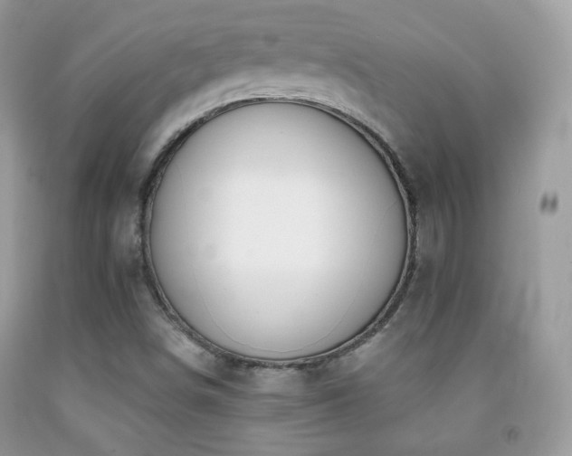 X0000091851498200709051135