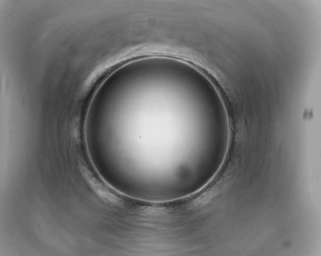 X0000091851499200709051135