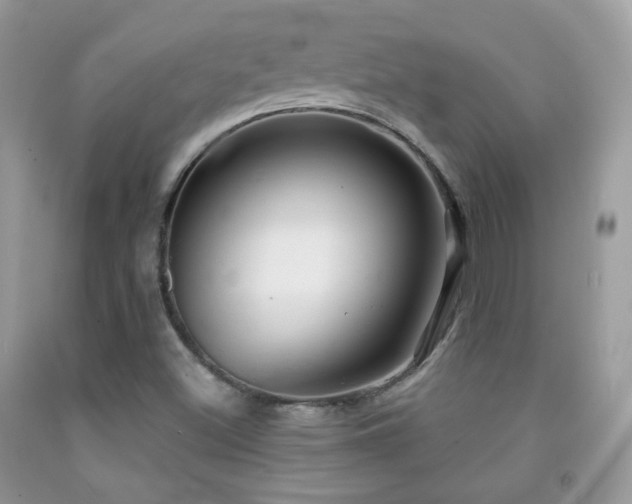 X0000091851500200709051135