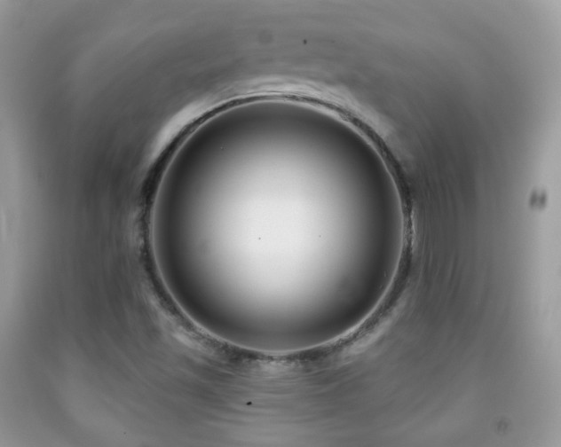X0000091851501200709051135