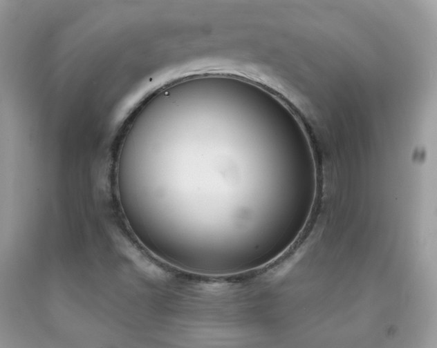 X0000091851502200709051135