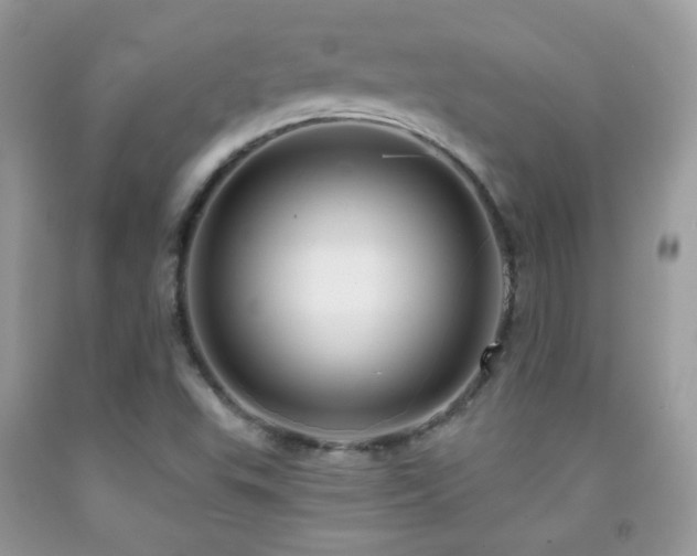 X0000091851503200709051136