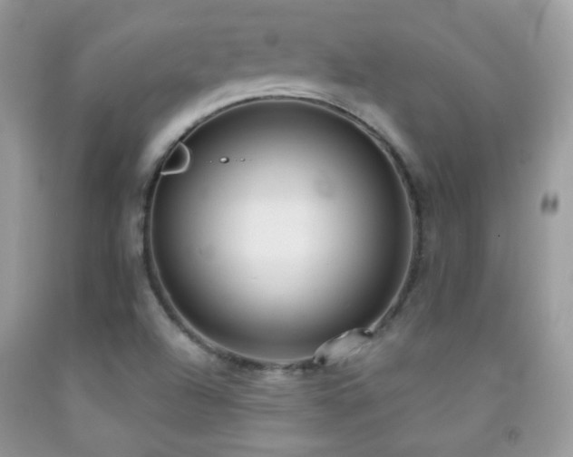 X0000091851504200709051136