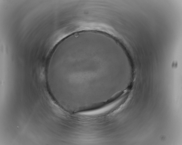 X0000091851505200709051136