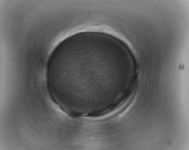 X0000091851506200709051136