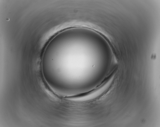 X0000091851507200709051136