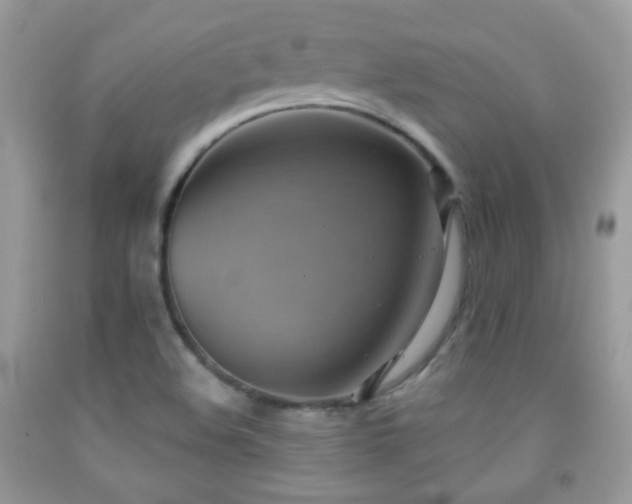 X0000091851508200709051136