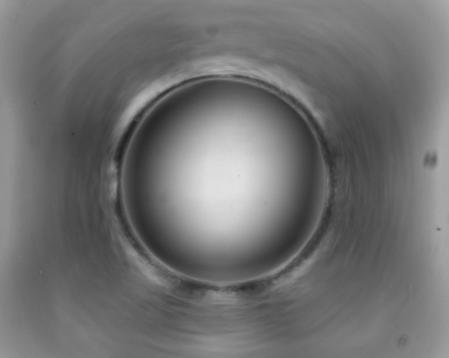 X0000091851509200709051136