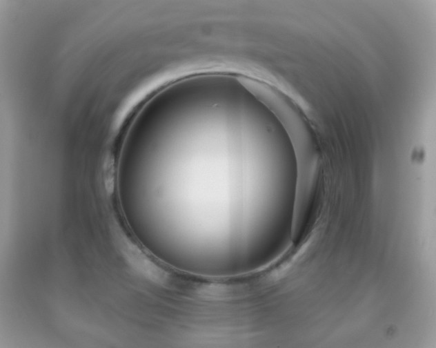 X0000091851510200709051136