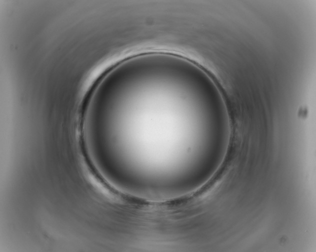 X0000091851511200709051136