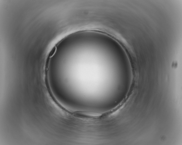 X0000091851512200709051136
