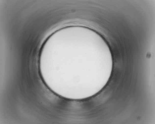 X0000091851514200709051136