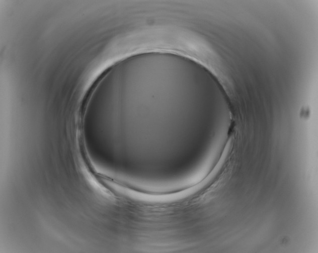 X0000091851515200709051136