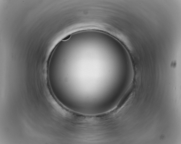 X0000091851516200709051136