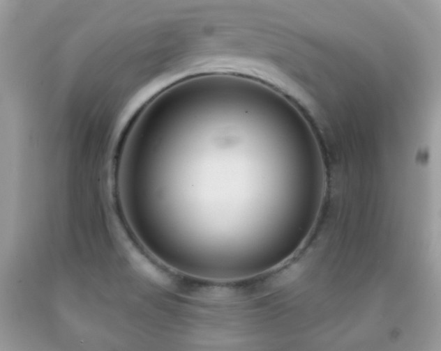 X0000091851517200709051136