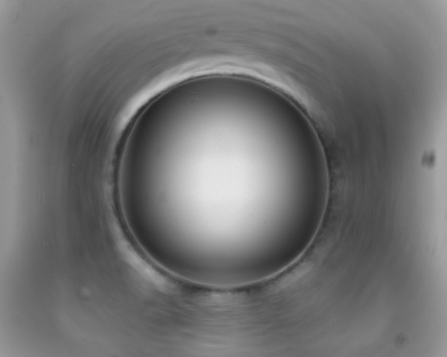 X0000091851518200709051136
