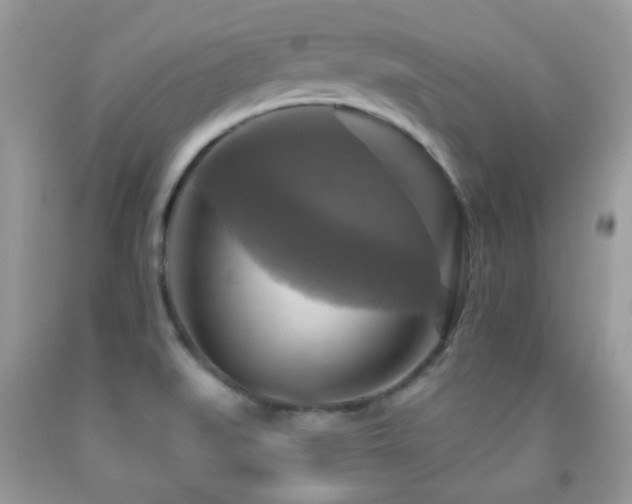 X0000091851519200709051136
