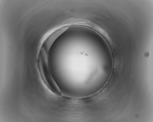 X0000091851520200709051136