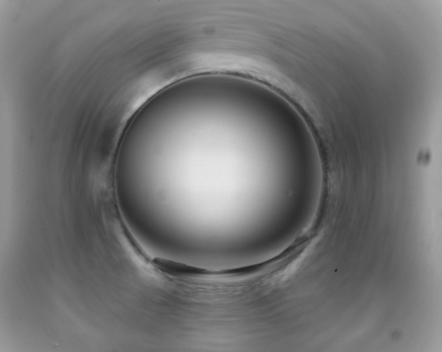 X0000091851521200709051136