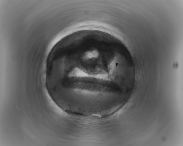 X0000091851522200709051136