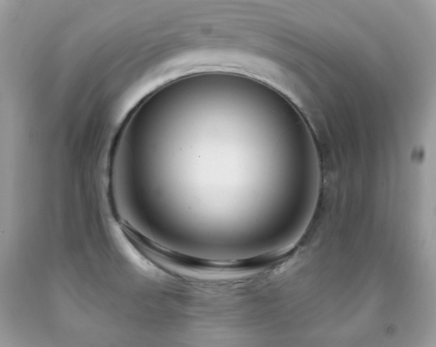 X0000091851523200709051136