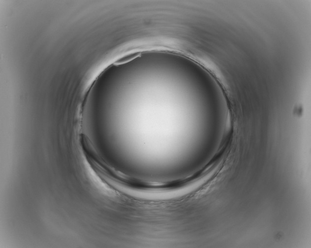 X0000091851524200709051136