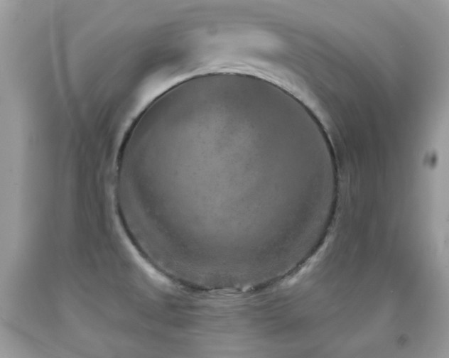 X0000091851525200709051136