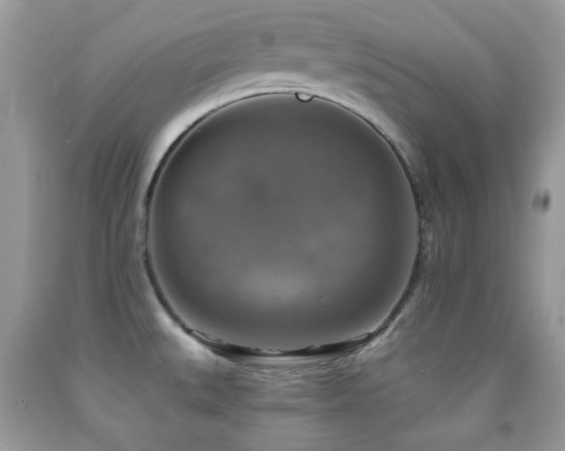 X0000091851527200709051136
