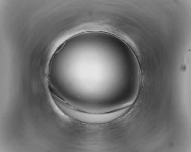 X0000091851528200709051136