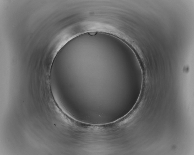 X0000091851529200709051136