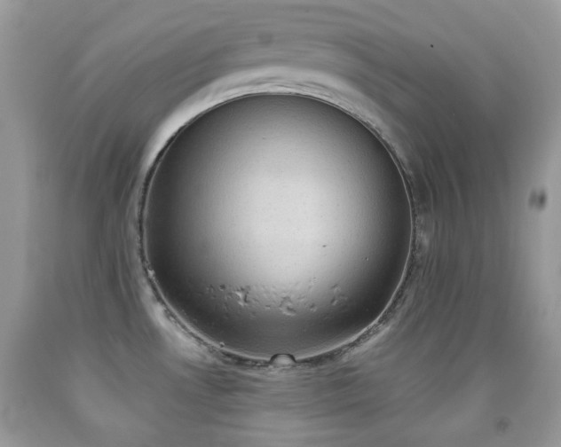 X0000091851530200709051136