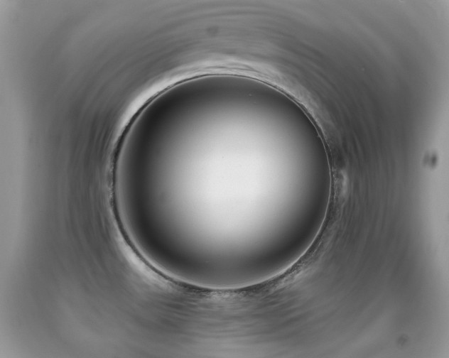 X0000091851531200709051136