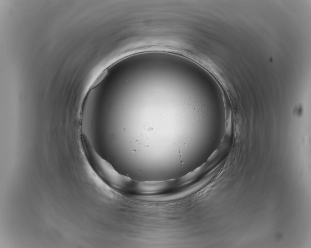 X0000091851532200709051136