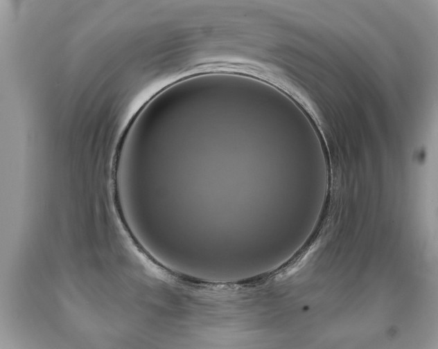 X0000091851533200709051136