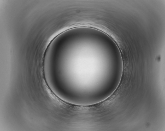 X0000091851534200709051136