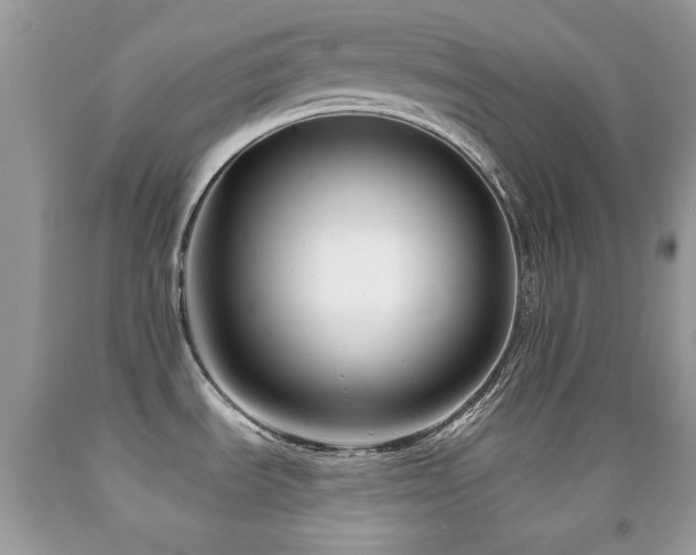X0000091851535200709051136