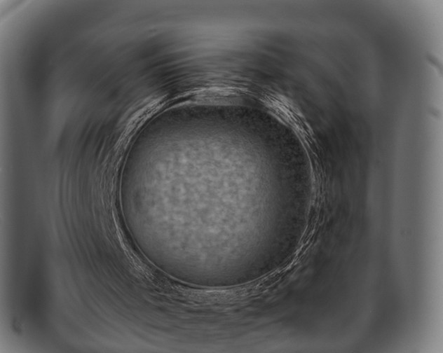 X0000091850001200709121319