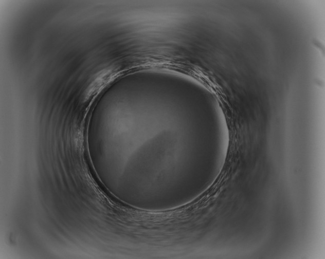 X0000091850002200709121319