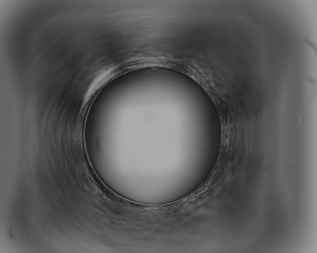 X0000091850004200709121319