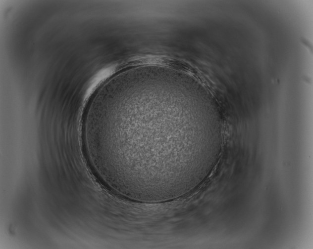 X0000091850006200709121319