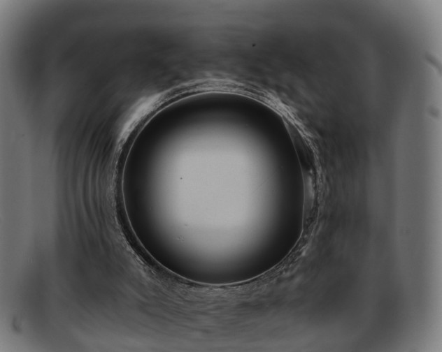 X0000091850007200709121319