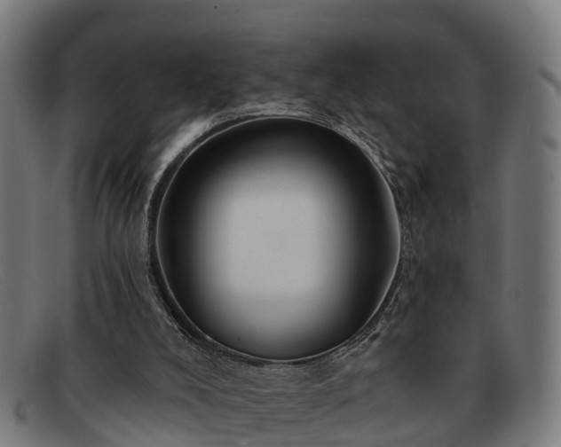 X0000091850008200709121319