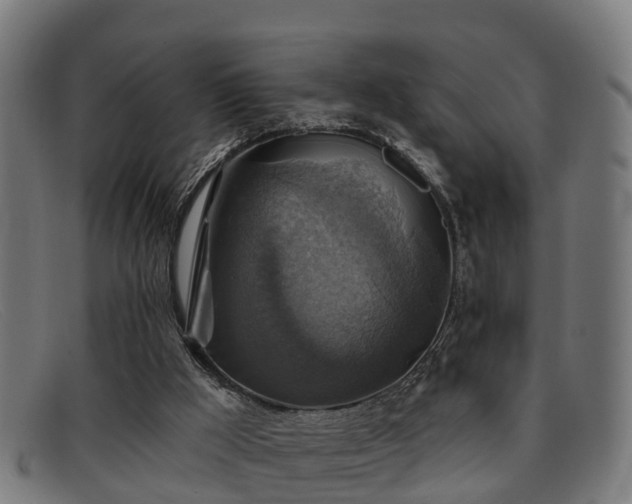 X0000091850009200709121319