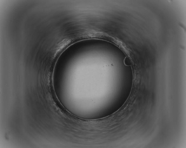 X0000091850010200709121319