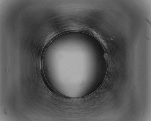 X0000091850011200709121319